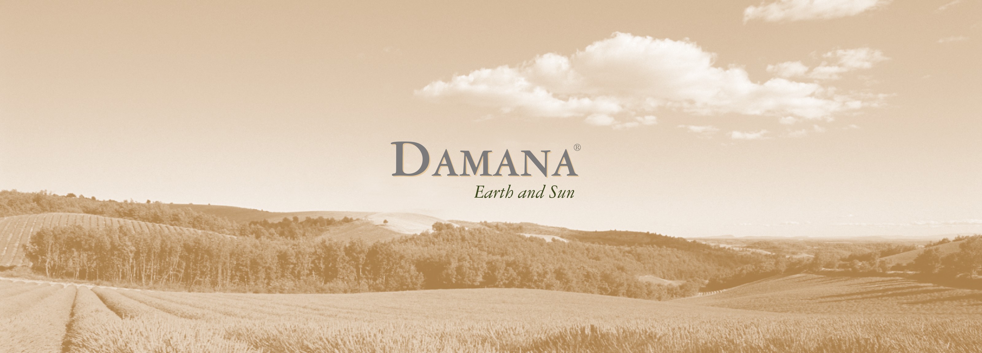 damana logo