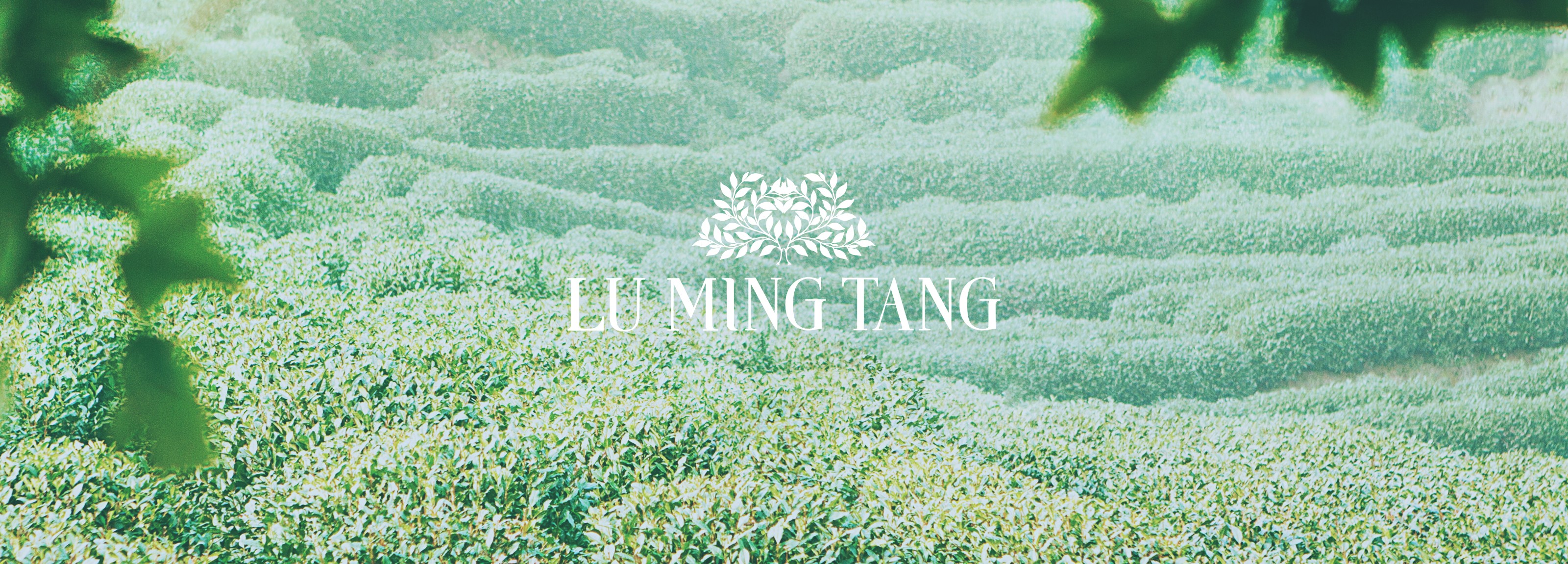 190606162345_90_W3200_N_brands_top-111-1-1 lu ming tang logo