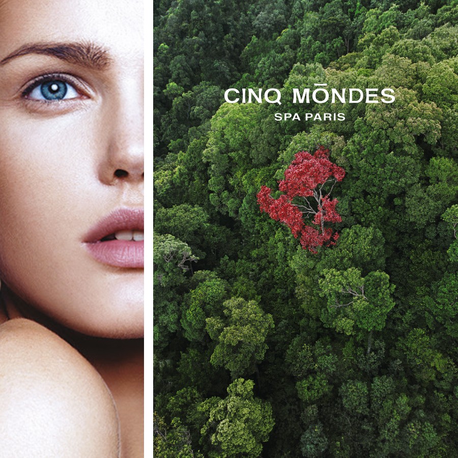 Cinq Mondes featured image forest and person