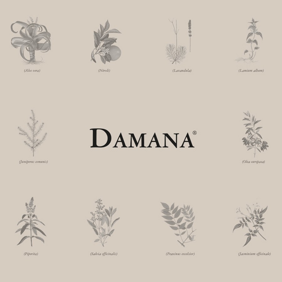 damana featured image logo