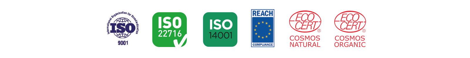 LOGO-CAE2 ISO Logos