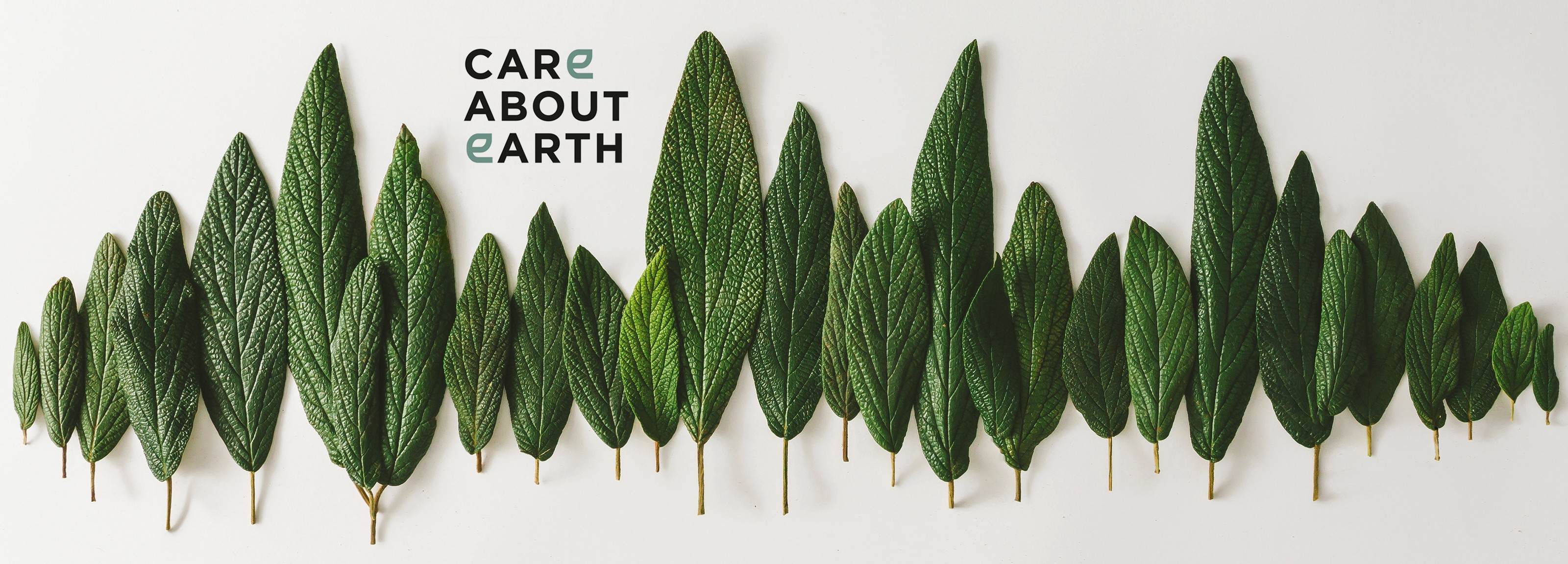 care-about-earth-banner care about earth banner